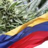 ft colombia marihuana