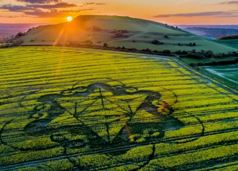circulos de cultivo una investigacion de extranas figuras gigantescas en campos de cultivo por history circulos de cultivo 15