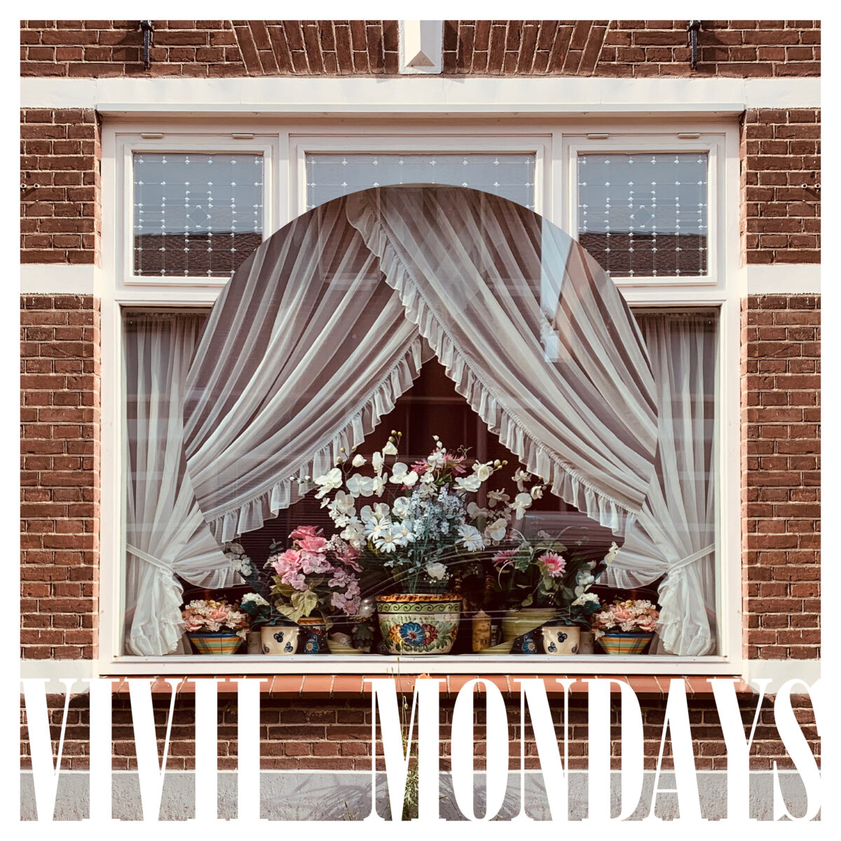 vivii presenta su nuevo album mondays unnamed 7