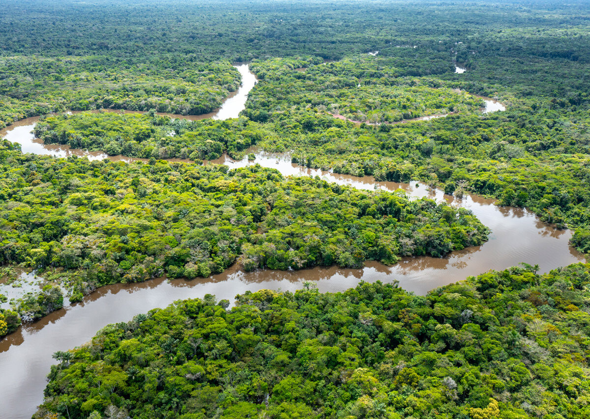 dia de la amazonia national geographic presenta seis curiosidades desconocidas sobre el amazonas dia de la amazonia national geographic presenta seis curiosidades desconocidas sobre el amazonas
