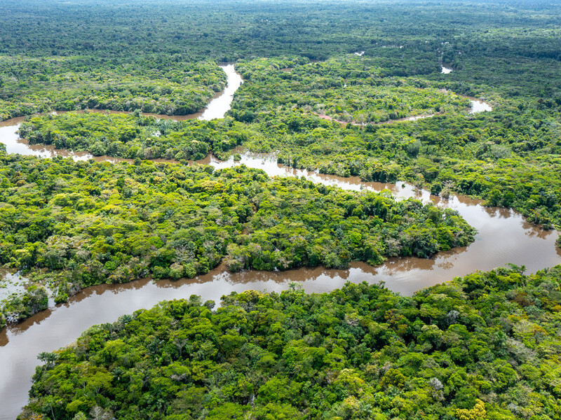 Día de la Amazonía: National Geographic presenta seis curiosidades desconocidas sobre el Amazonas