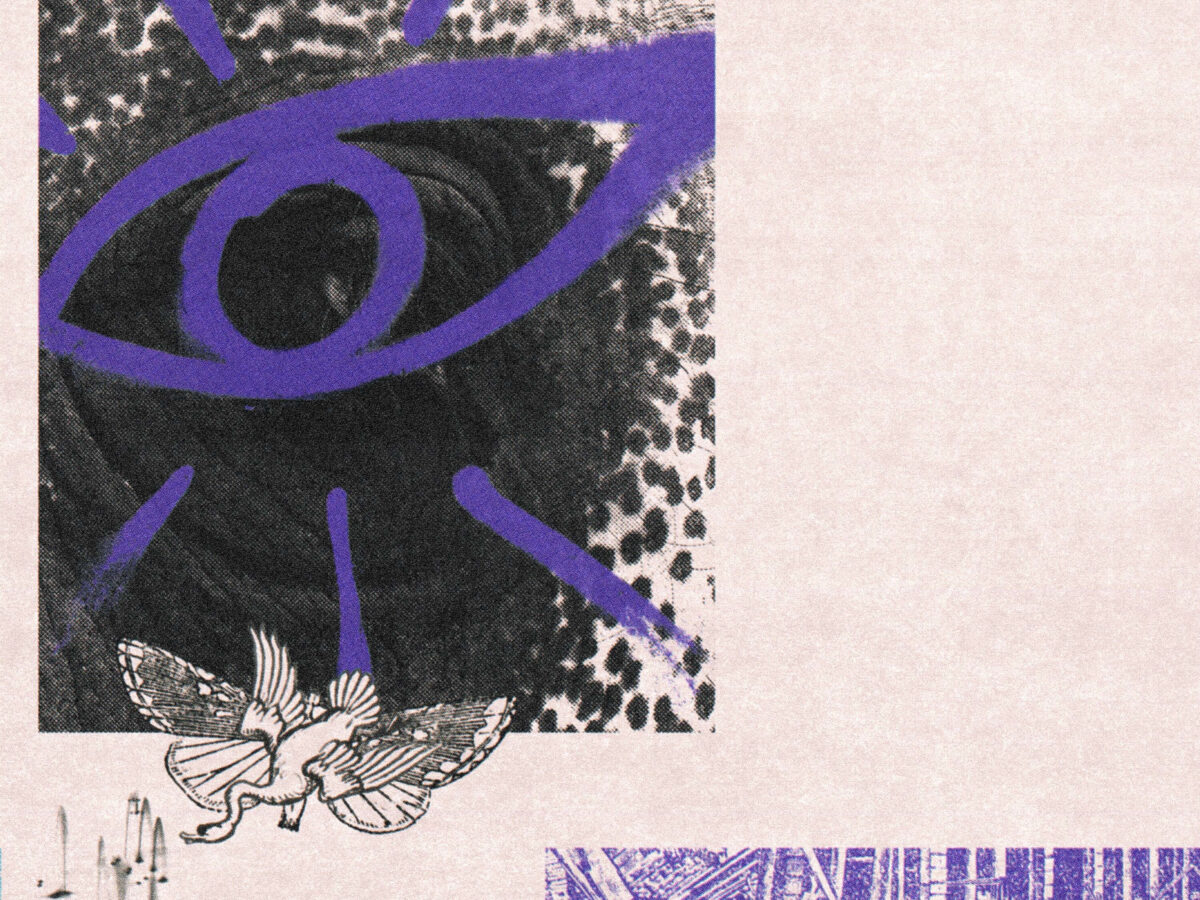 hippo campus anuncia su nuevo album lp3 y estrena el primer sencillo boys unnamed 1