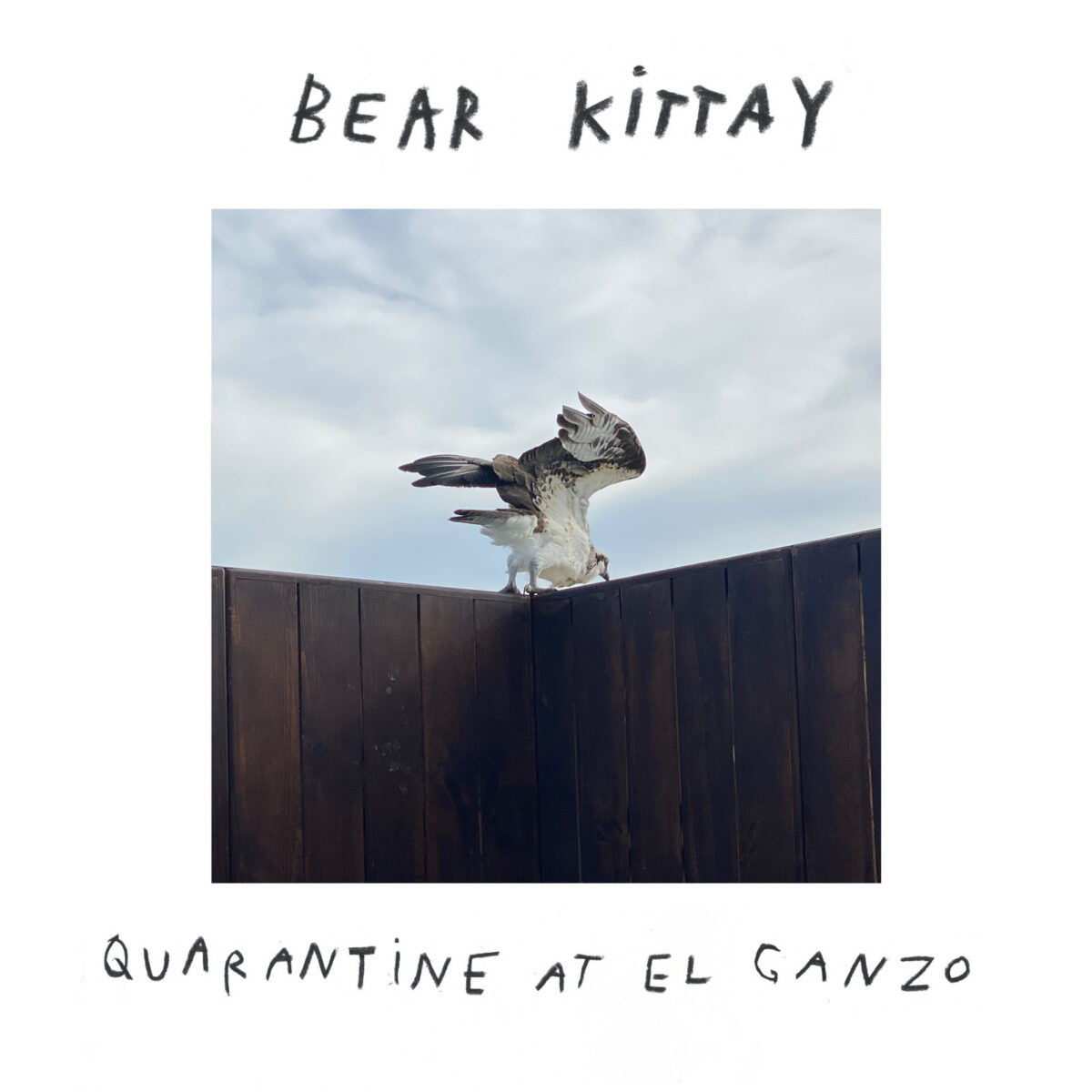 bear kittay llega con quarantine at el ganzo volume two unnamed 11