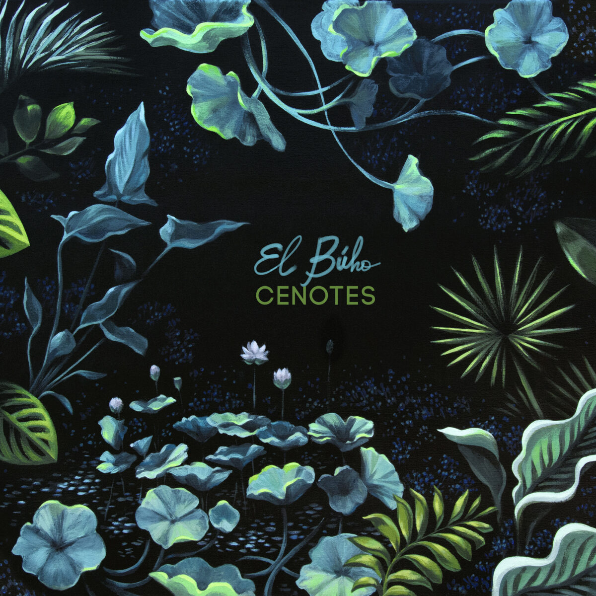 el buho reinventa su ep cenotes con una nueva version deluxe unnamed 4