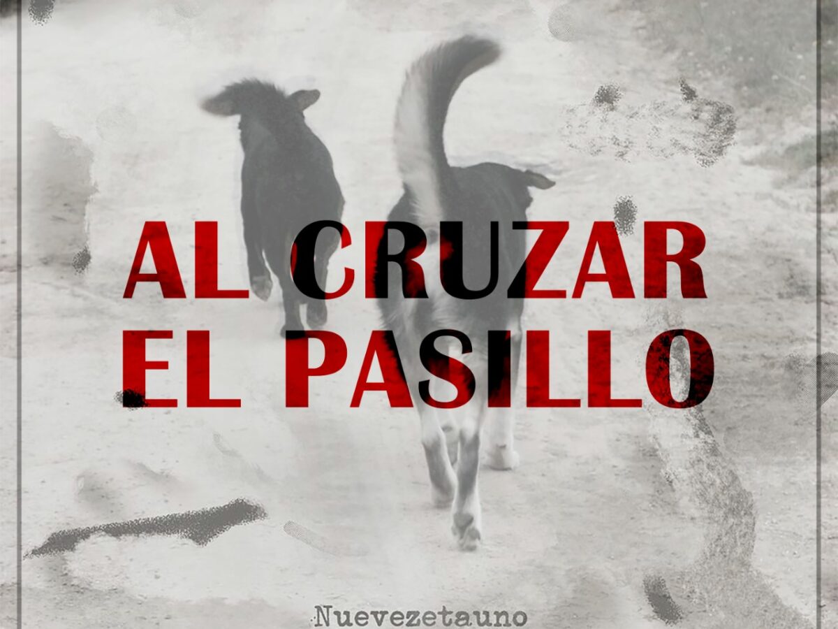 nueve zeta uno presenta al cruzar el pasillo nueve zeta uno 3