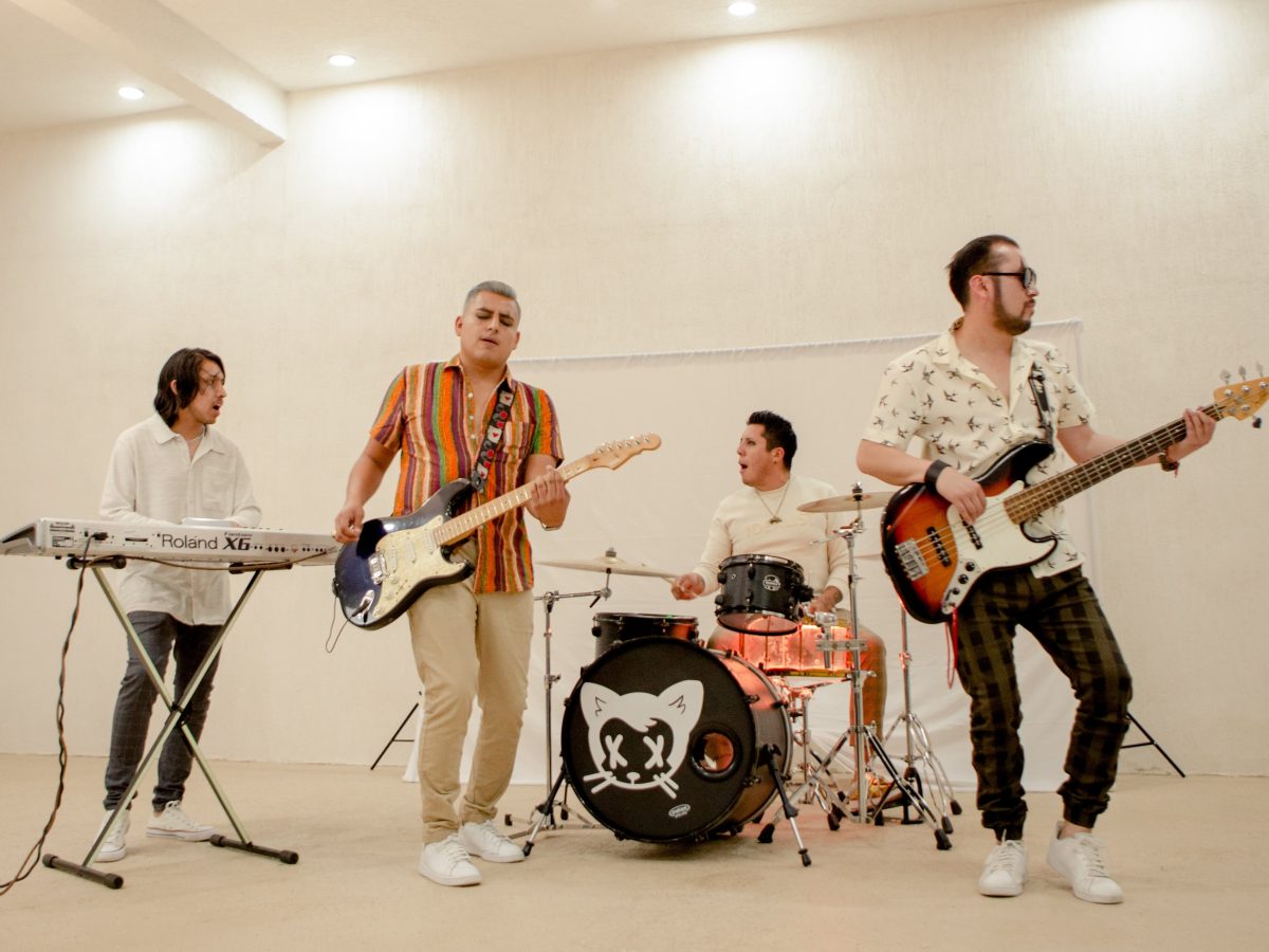 banda de belgas presenta gatos calid 8 min copia