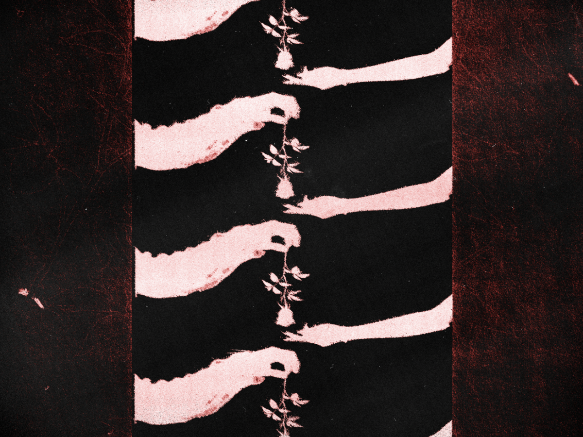 d4vd presenta nueva cancion sleep well unnamed 4