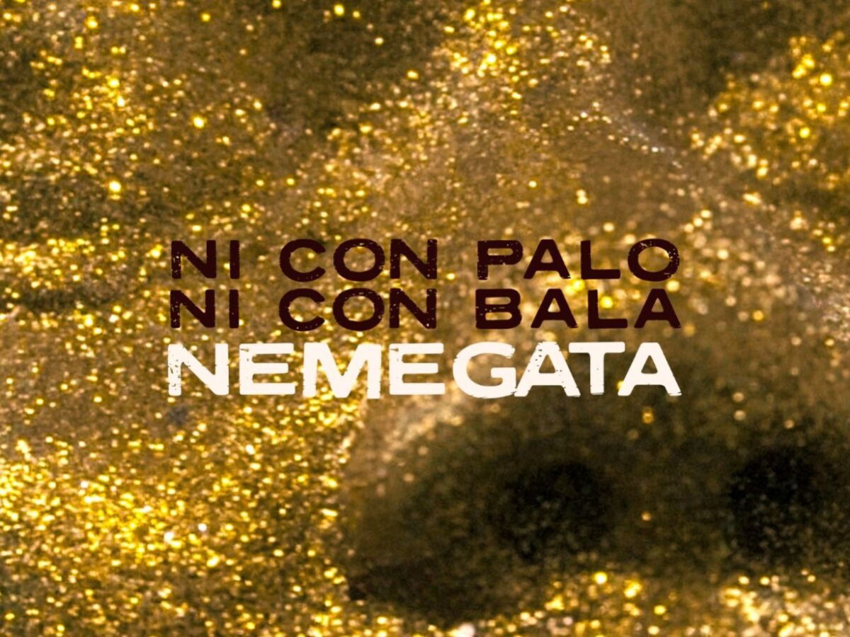 nemegata presenta ni con palo ni con bala nemegata 8