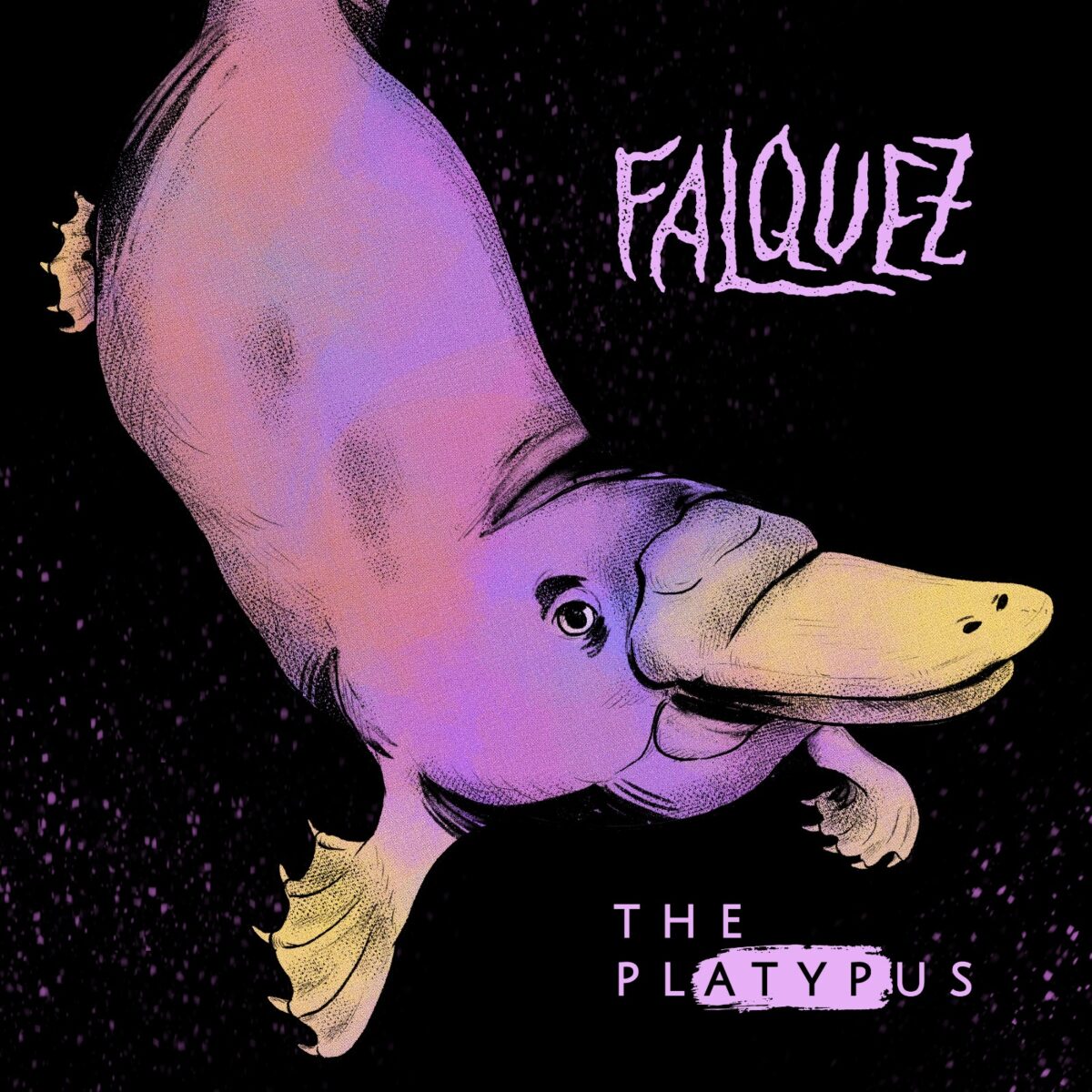 falquez presenta the platypus 1
