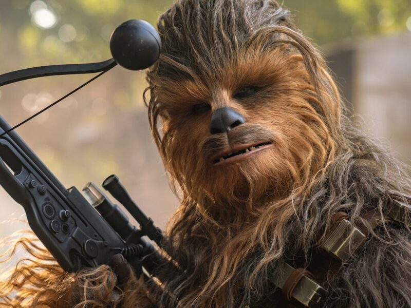 Star Wars: ¿Cuántos años tenía Chewbacca cuando murió?