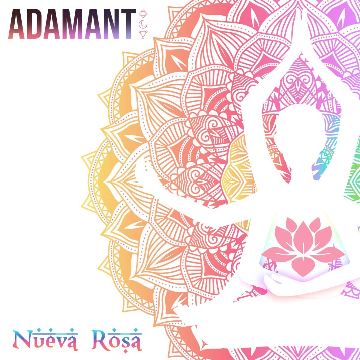 adamant estrena nueva rosa 1