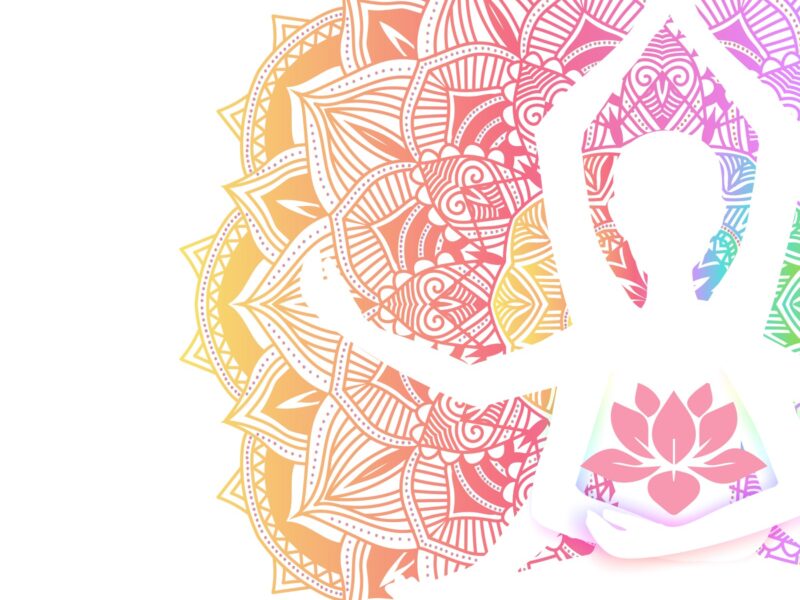 adamant estrena nueva rosa 1