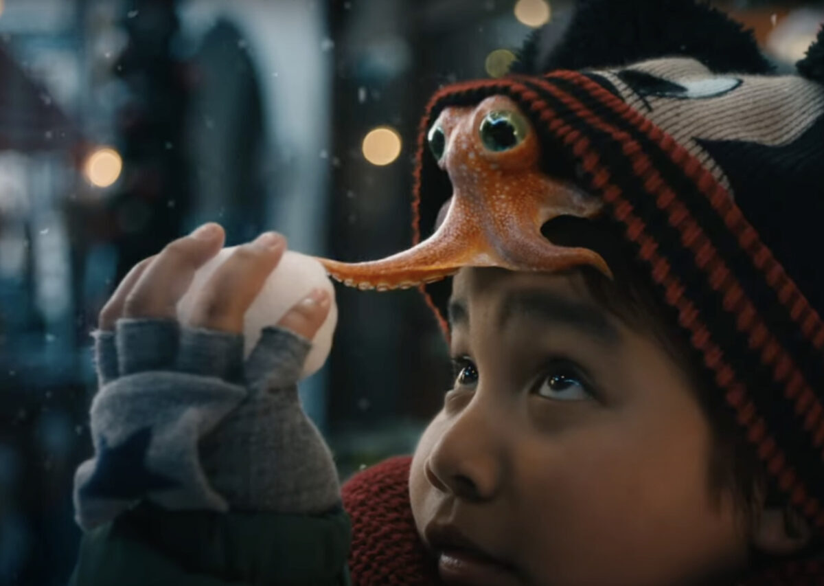 disney y taika waititi unen fuerzas en un conmovedor corto navideno el nino y el pulpo disney y taika waititi unen fuerzas en un conmovedor corto navideno el nino y el pulpo