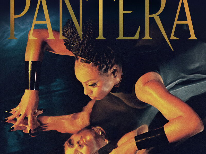 goyo transforma su esencia en pantera una declaracion afrolatina de poder y ritmo goyo transforma su esencia en pantera una declaracion afrolatina de poder y ritmo